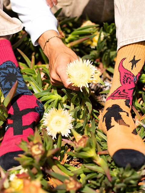 Volcom Featured Artist Bob Mollema Socks 4 Pack Assorted Colors | KEF-756209